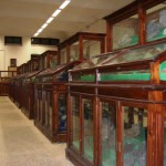 museo vetrine